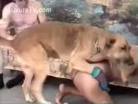 Threesome with a pair and their dog